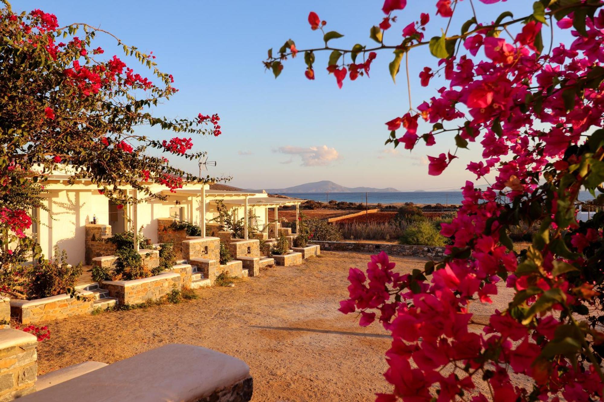Sunny Studios Naxos Aliko Beach Ngoại thất bức ảnh