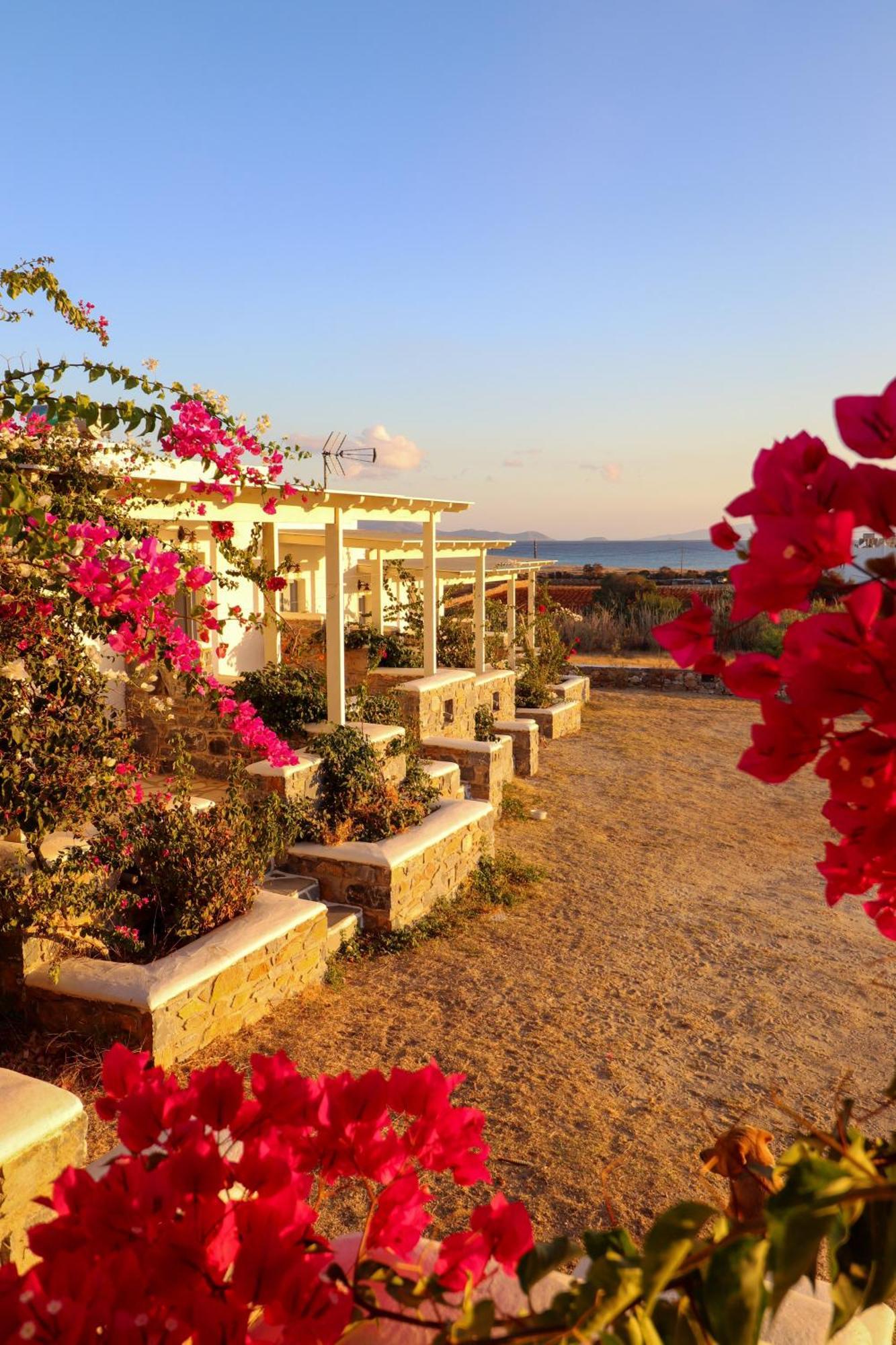 Sunny Studios Naxos Aliko Beach Ngoại thất bức ảnh